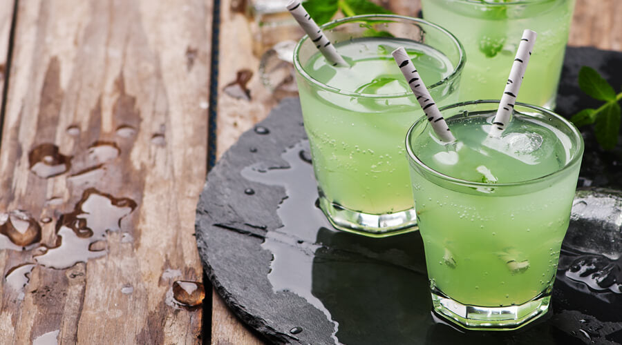 Mexican Cactus Bloom