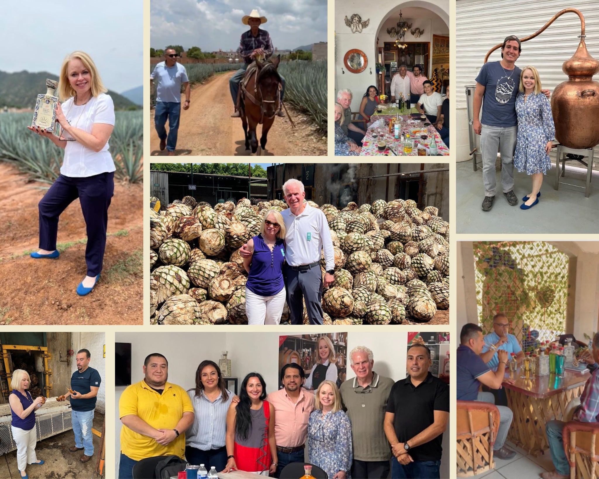 In the agave fields