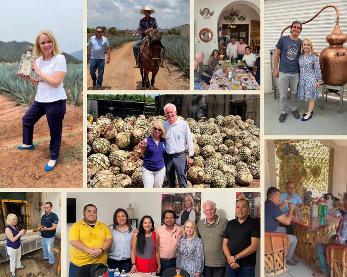 In the agave fields