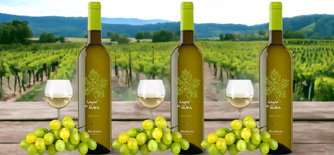 International Albarino Day with Albarino Wine