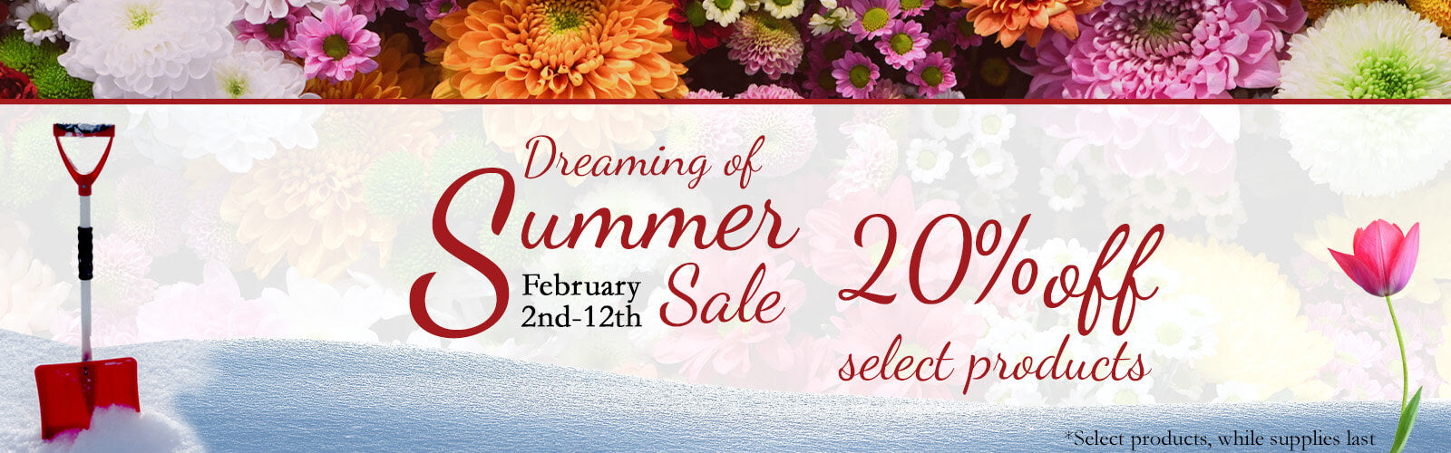 Dreaming of Summer Sale