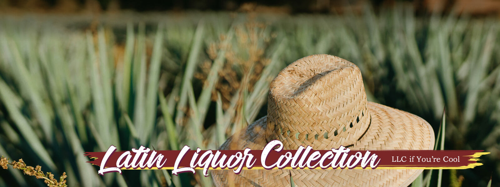 Latin Liquor Collection