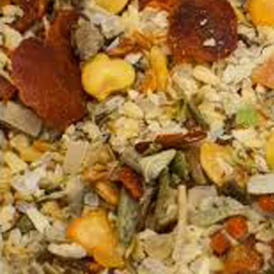 Bruschetta alla Toscana. Popular cooking spices. Italian spices for pizza.