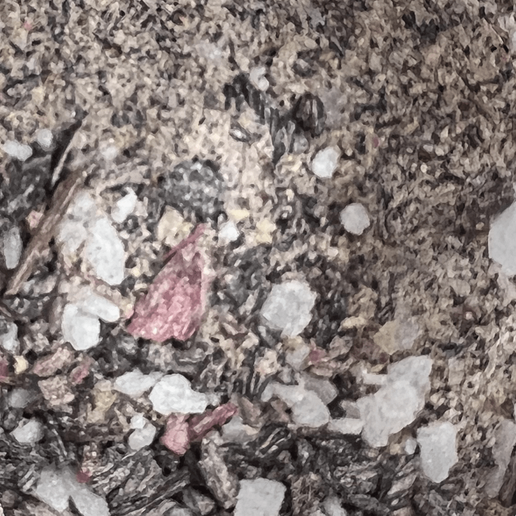 Hawaiian Hibiscus BBQ. Popular cooking spices for bbq.