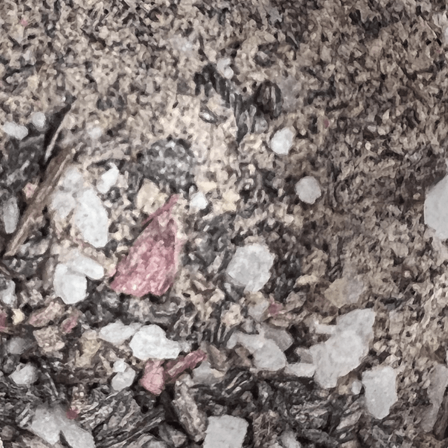 Hawaiian Hibiscus BBQ. Popular cooking spices for bbq.